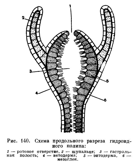 Кракен безопасный вход